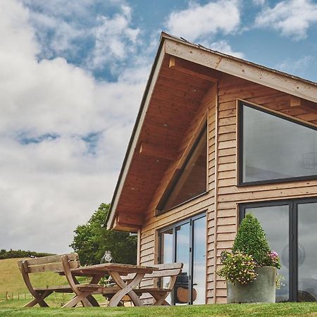 Lower Tumble Cottage Llandyssil Exterior photo